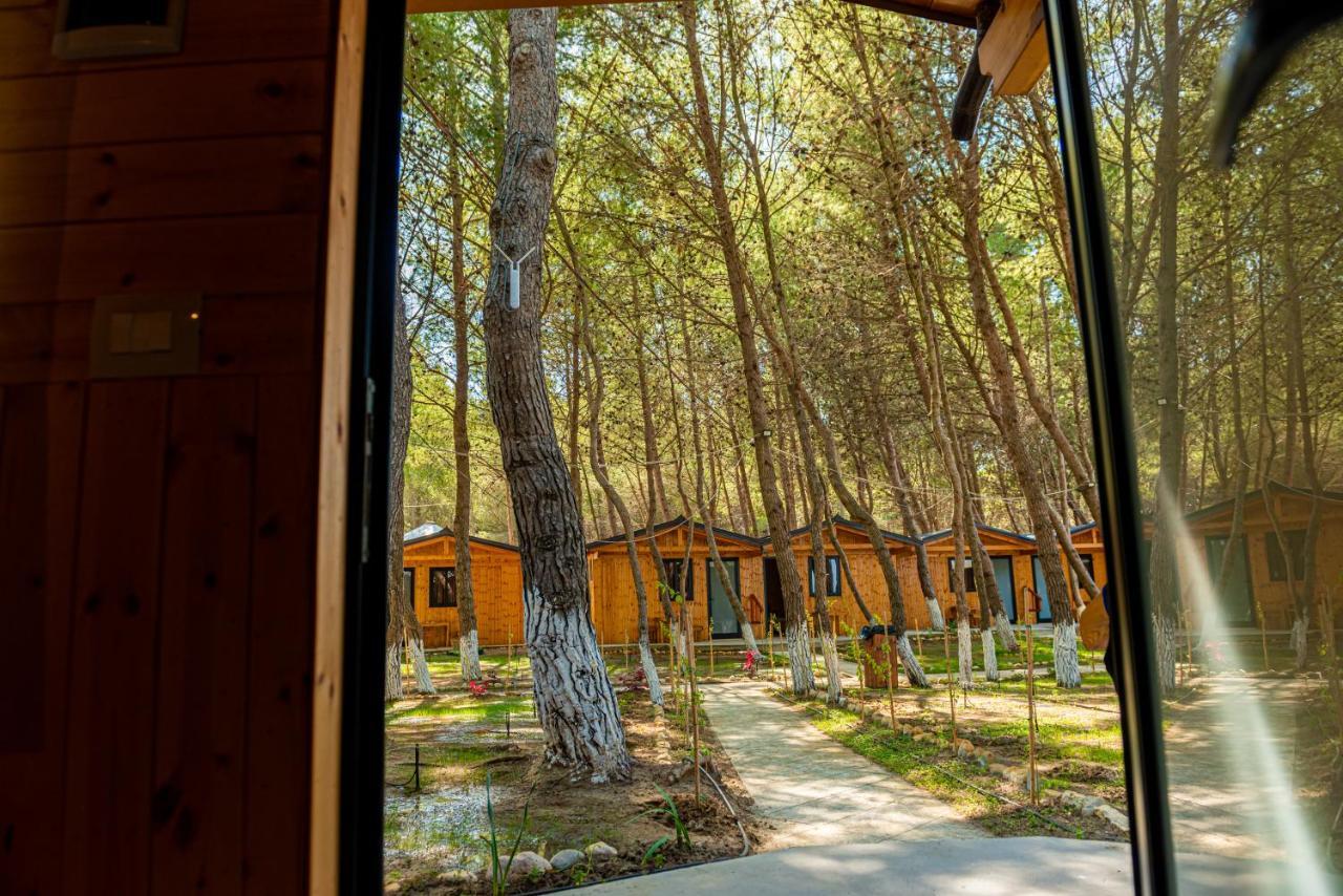 Ecuador Resort Zverneci Εξωτερικό φωτογραφία