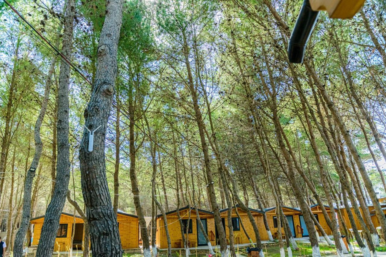 Ecuador Resort Zverneci Εξωτερικό φωτογραφία