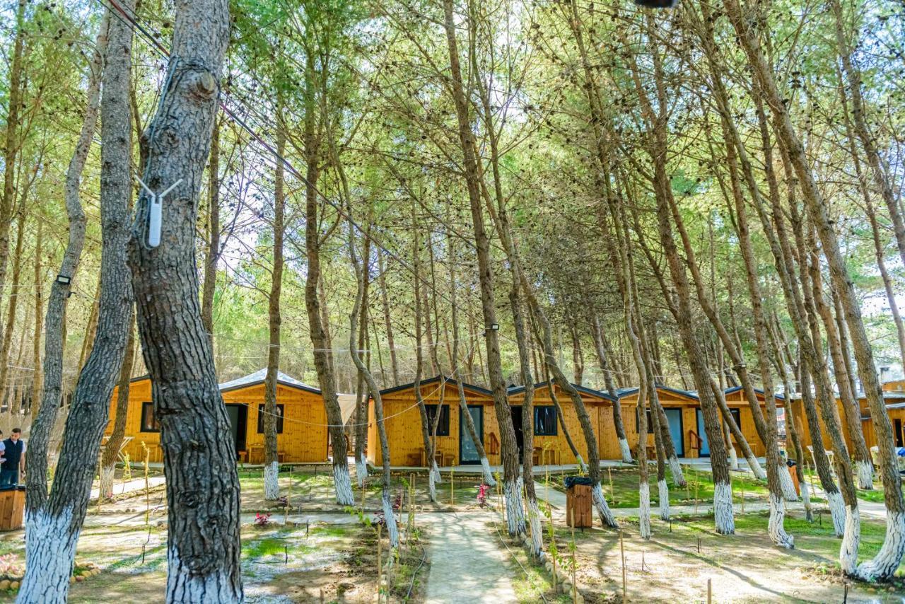 Ecuador Resort Zverneci Εξωτερικό φωτογραφία